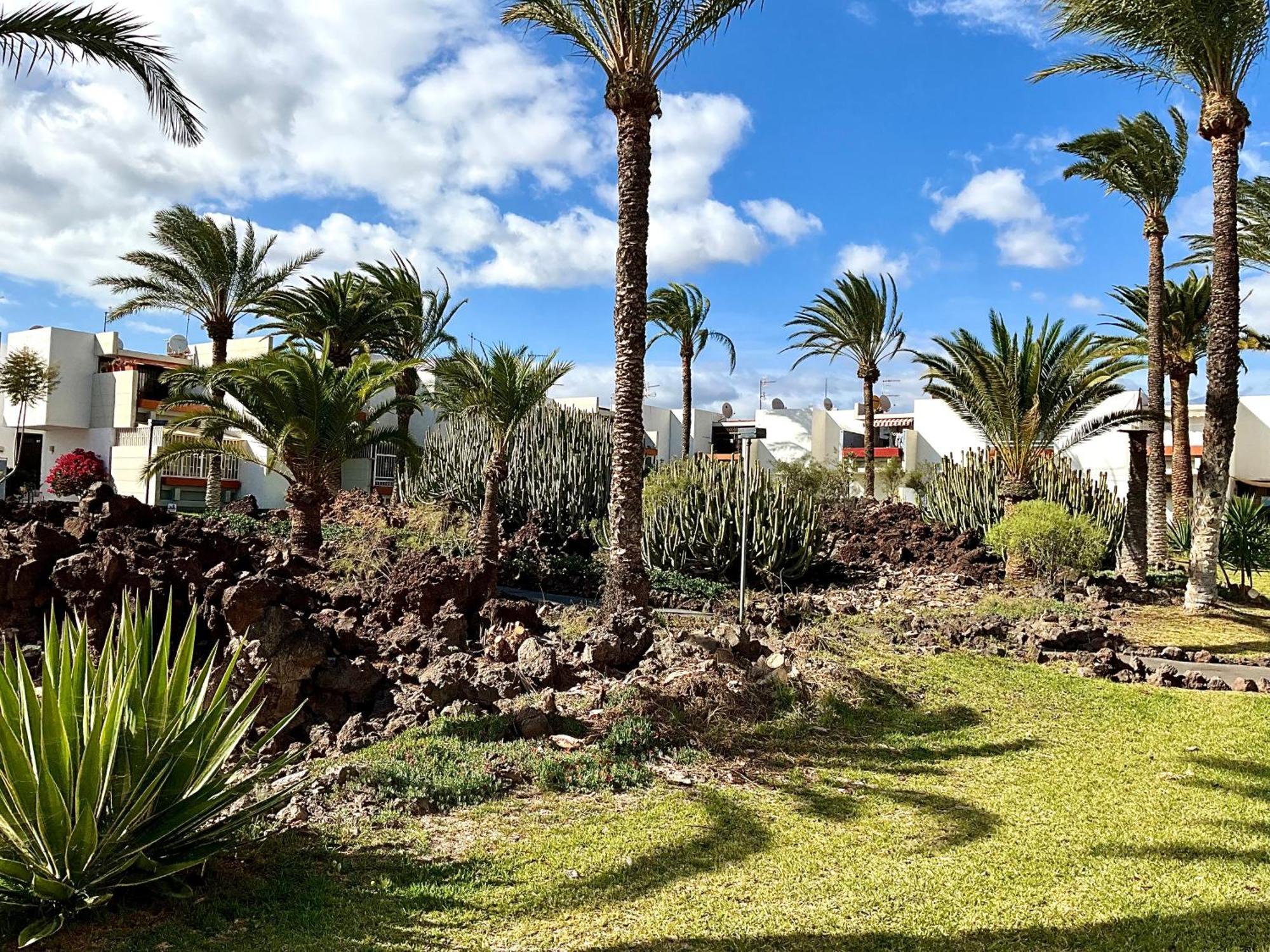 Primavera Apartment Costa Del Silencio Exterior photo