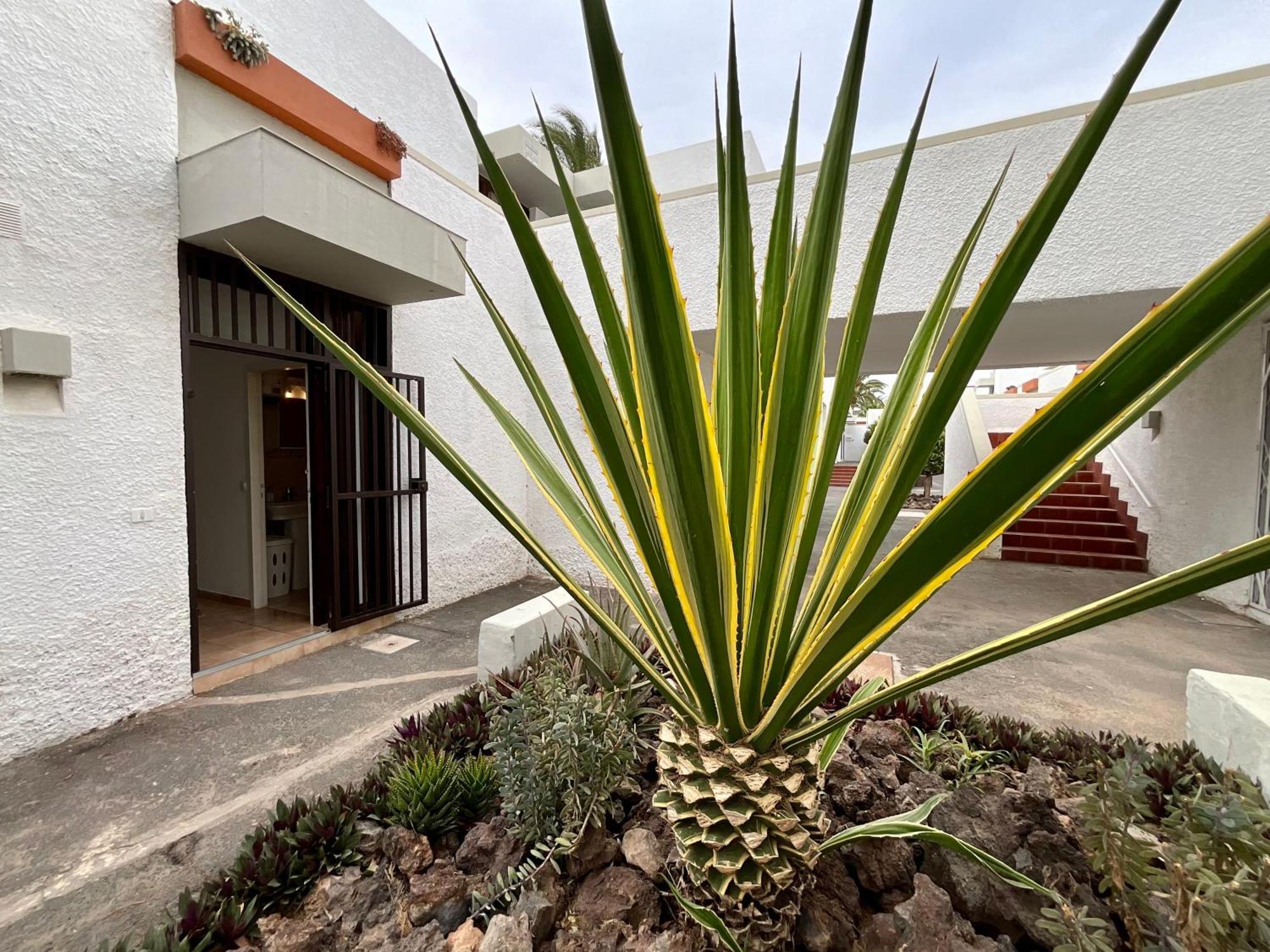 Primavera Apartment Costa Del Silencio Exterior photo